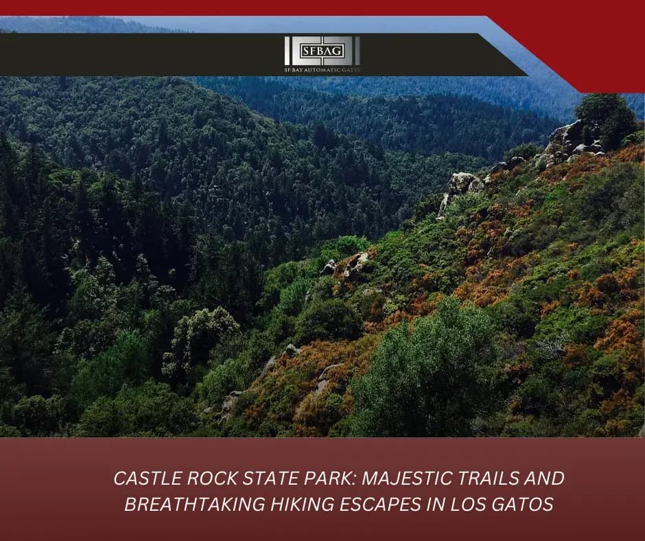 Castle Rock State Park in Los Gatos Offers Majestic Trails and Stunning Hiking Escapes