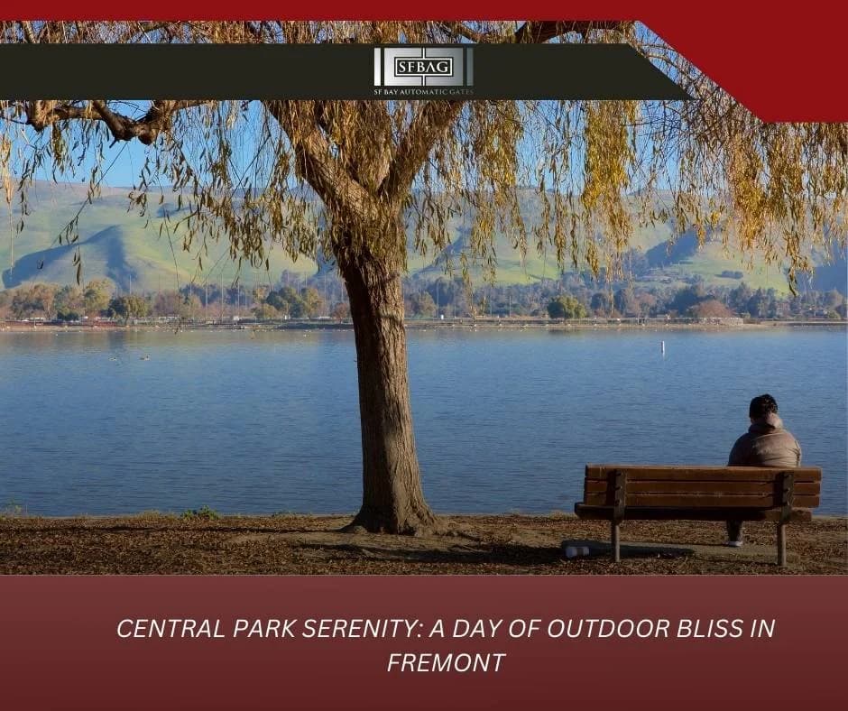 Central Park Peace: An Entire Day of Nature's Pleasure in Fremont