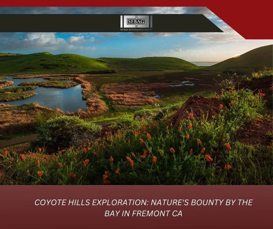 Coyote Hills Exploration: Nature's Bounty by the Bay in Fremont CA