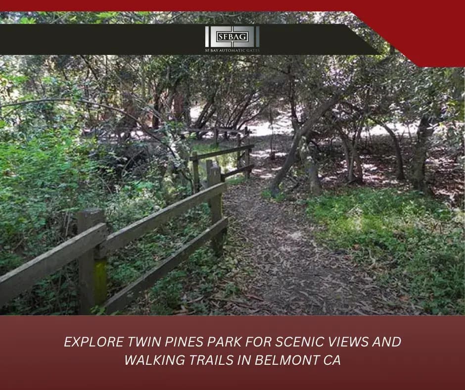 Explore Twin Pines Park for scenic views and walking trails in Belmont CA