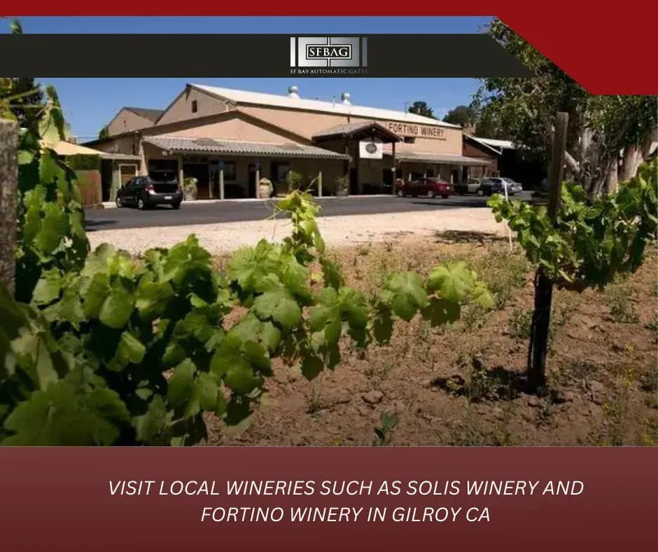 Visit Local Wineries Such as Solis Winery and Fortino Winery in Gilroy CA