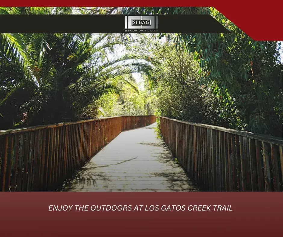 Enjoy the Outdoors at Los Gatos Creek Trail in Campbell CA