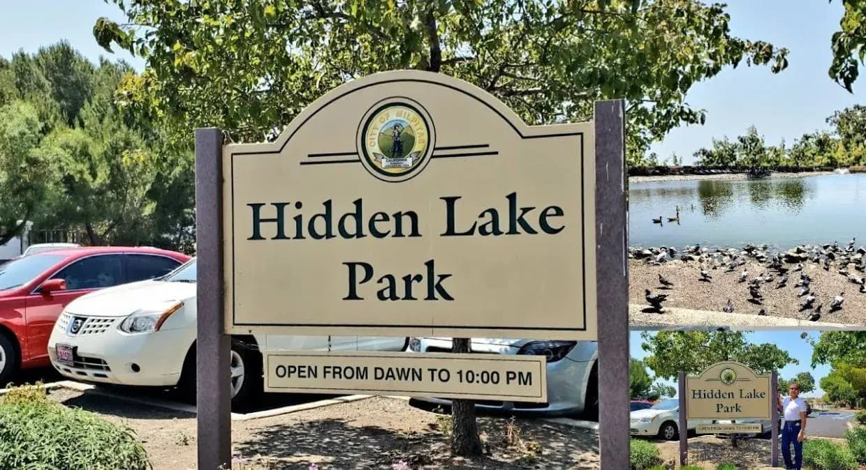 A Tranquil Retreat: Exploring the Beauty of Hidden Lake Park in Milpitas, CA