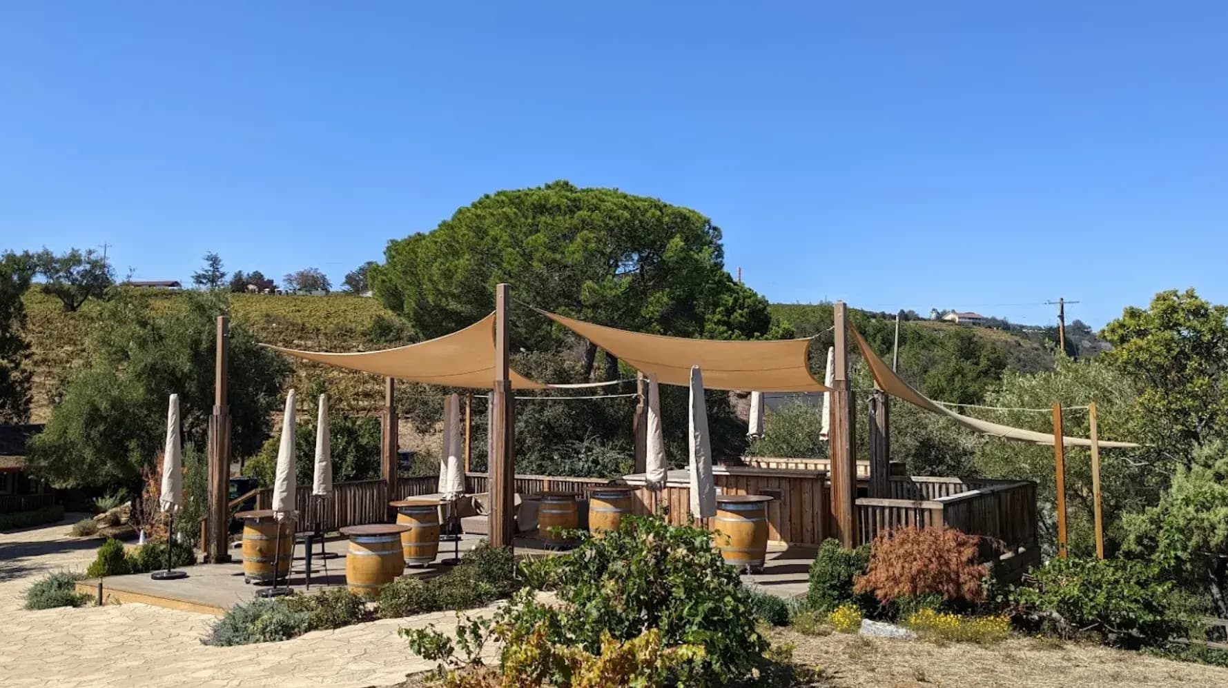 The Art of Winemaking at Ridge Vineyards in Cupertino, CA