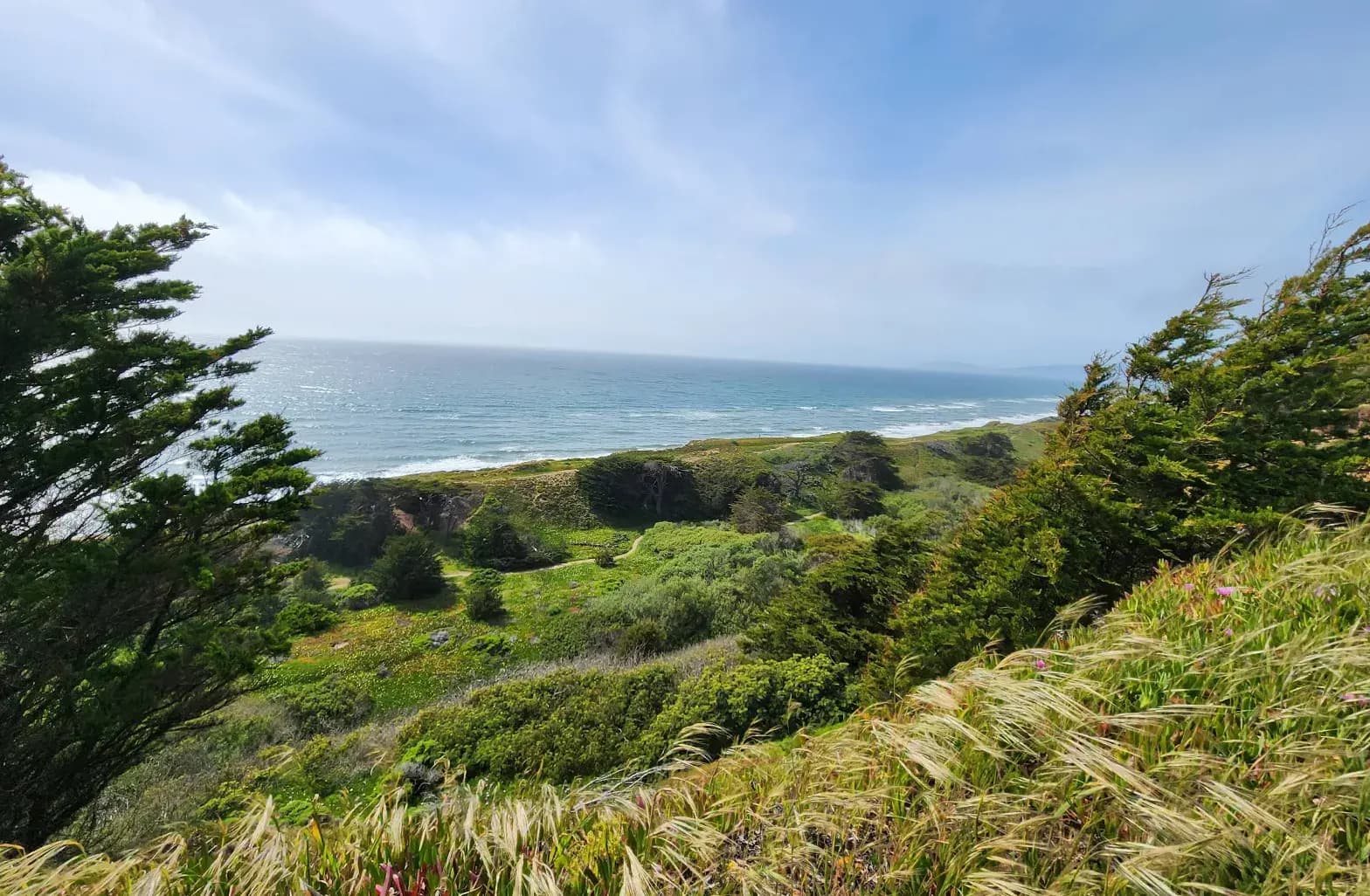 Explore the Beauty of Thornton State Beach in Daly City, CA – A Hidden Gem by the Ocean