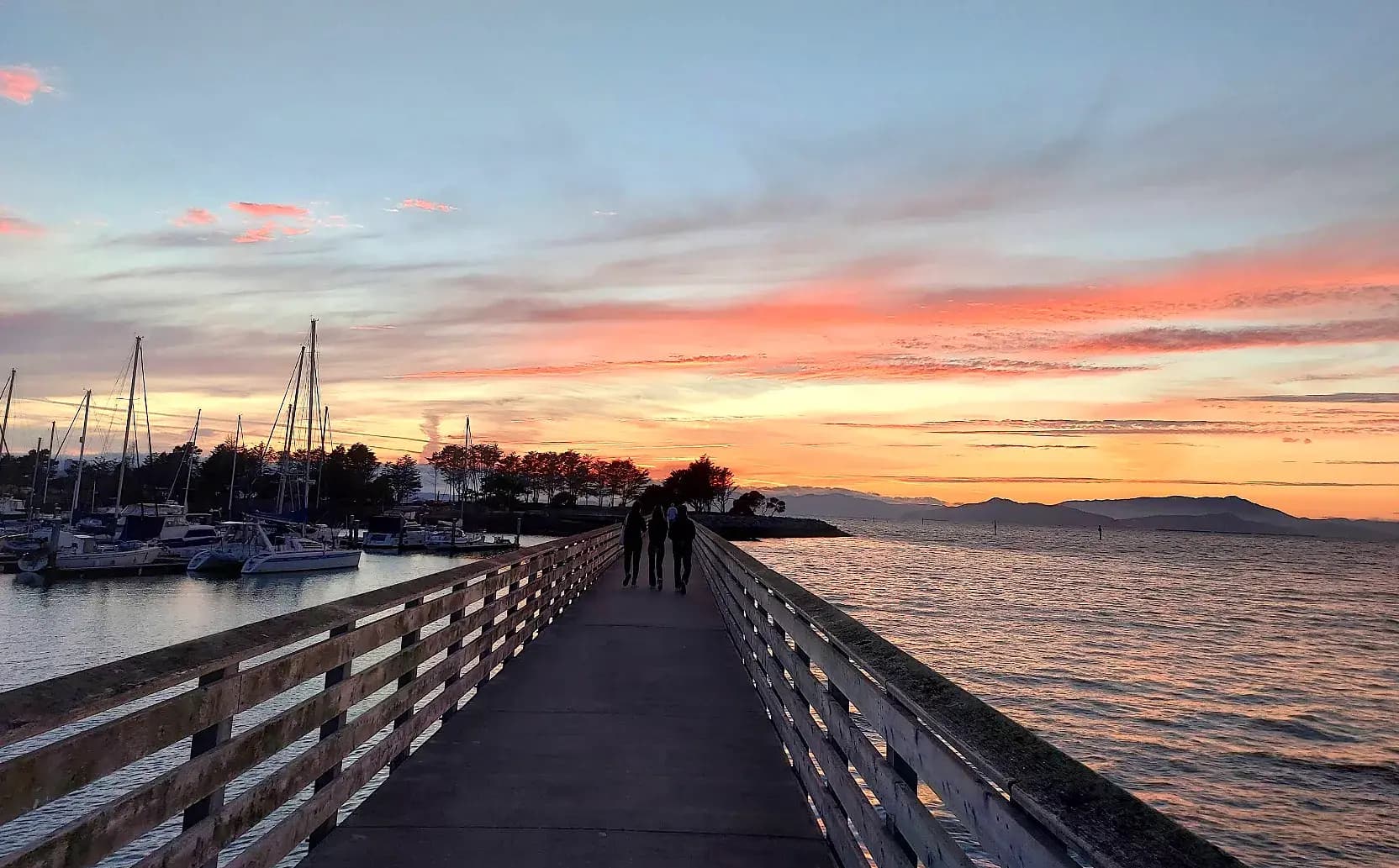 Why Emeryville Marina Park, CA is the Ideal Place for Outdoor Fun and Relaxation