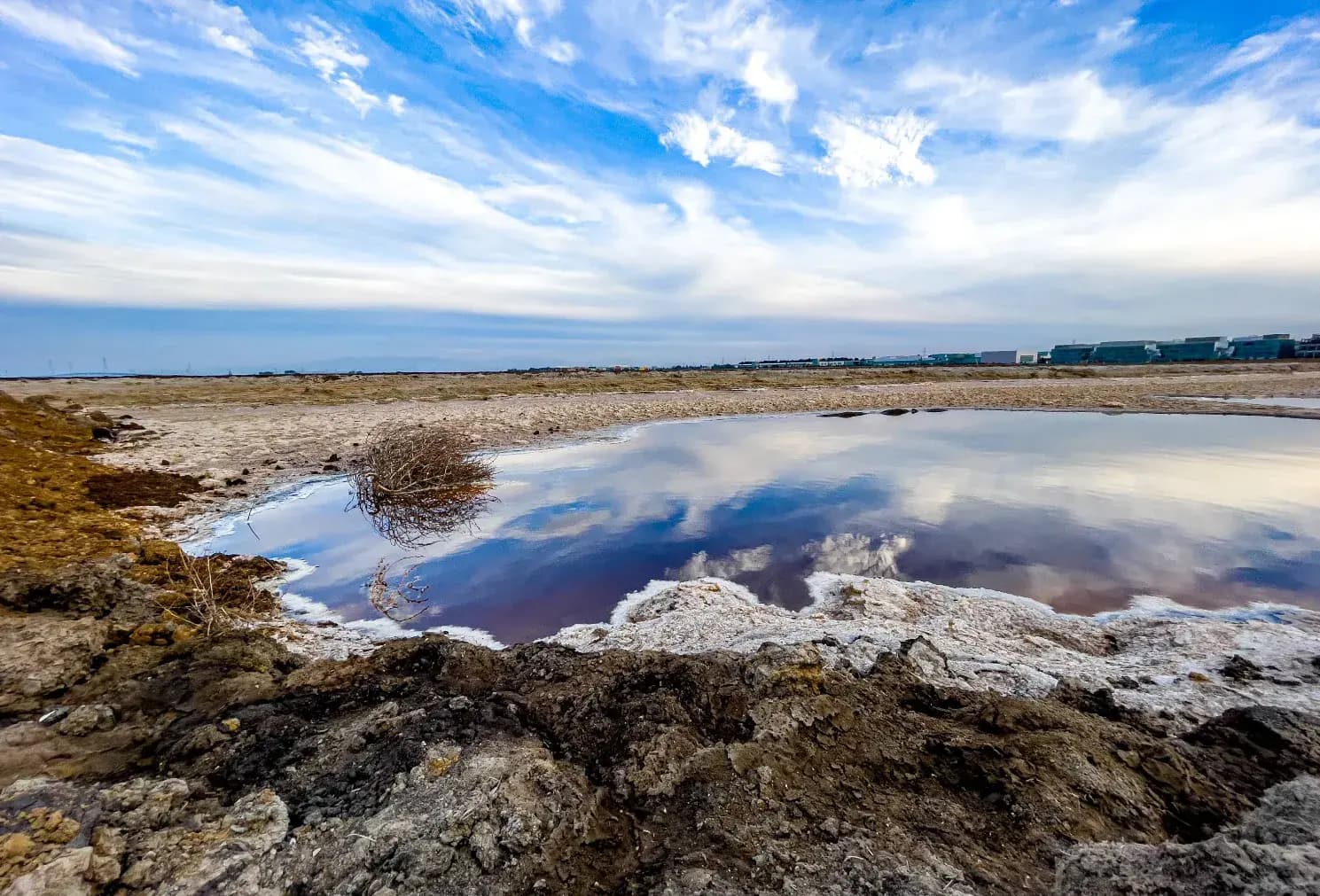 Get Outdoors and Enjoy Scenic Views at Bedwell Bayfront Park in Menlo Park, CA