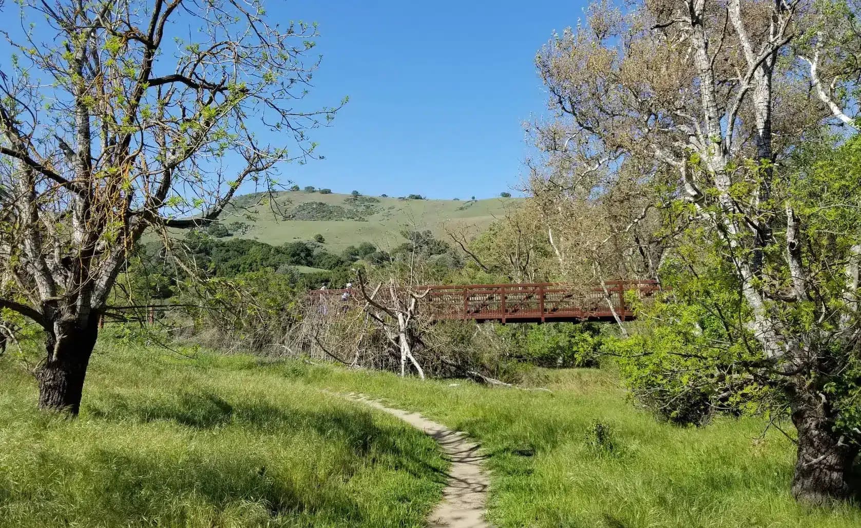 Get Active and Enjoy the Outdoors at Anderson Lake County Park in Morgan Hill, CA