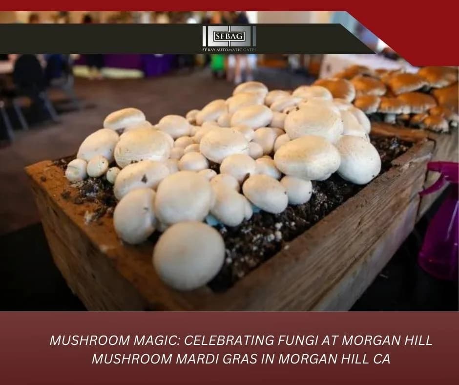 Mushroom Magic: Celebrating Fungi at Morgan Hill Mushroom Mardi Gras in Morgan Hill CA
