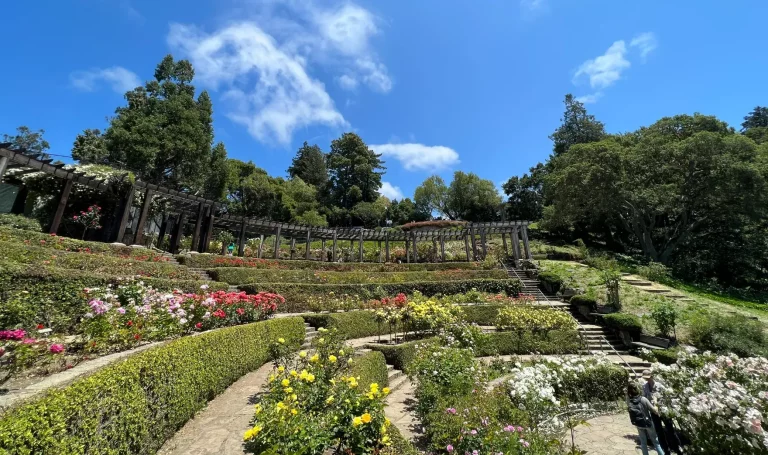 Berkeley, CA