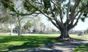 Berkeley, CA