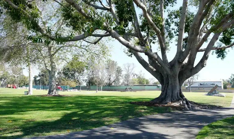 Berkeley, CA