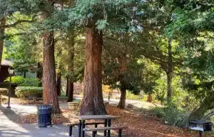 Los Altos, CA